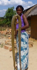Lizzie&SnakeCropped 051713